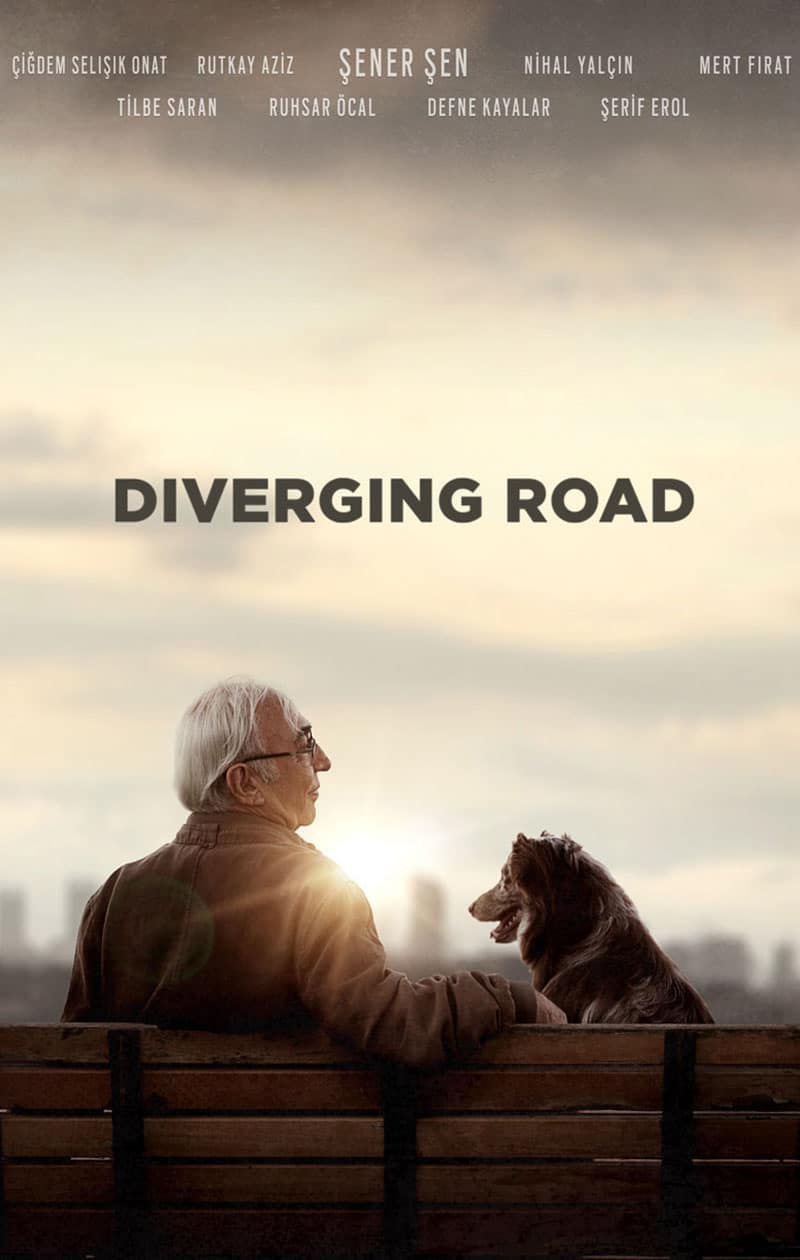 Diverging-Road-Poster_880x1260