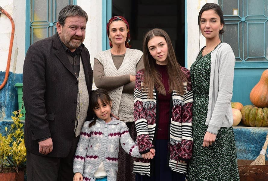 Image Title