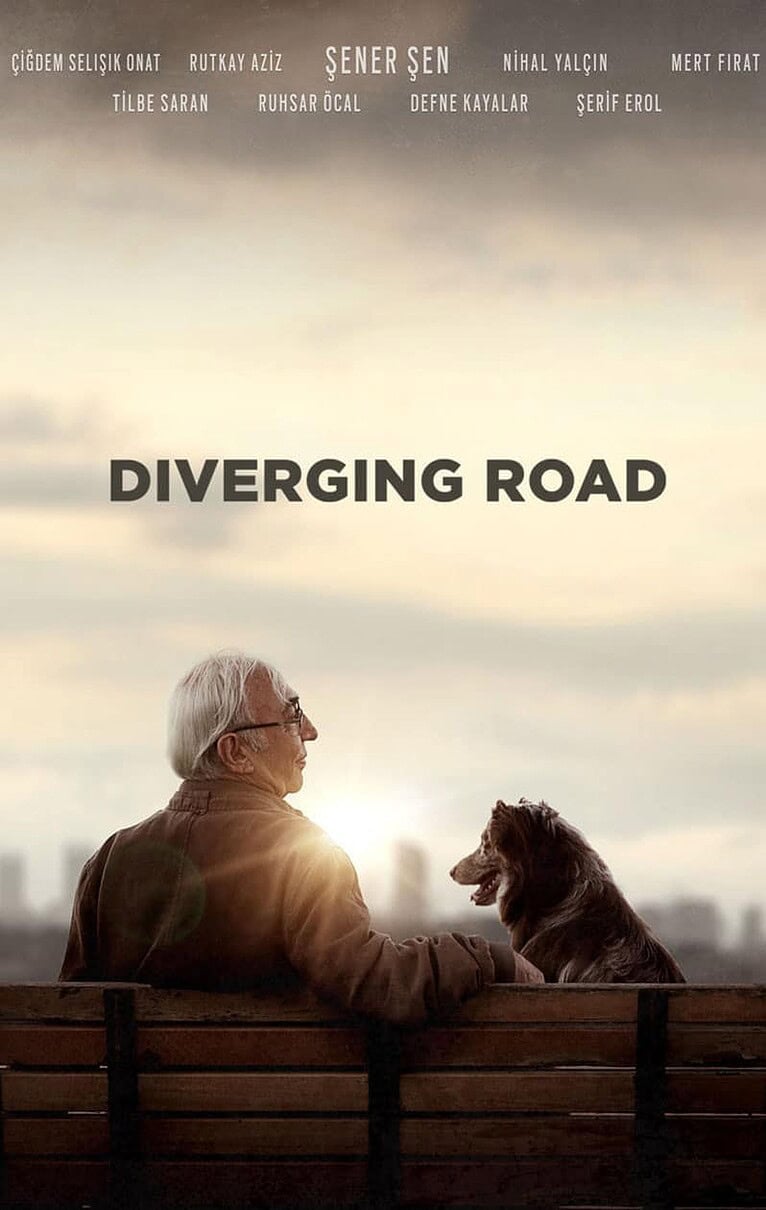 Carretera Divergente