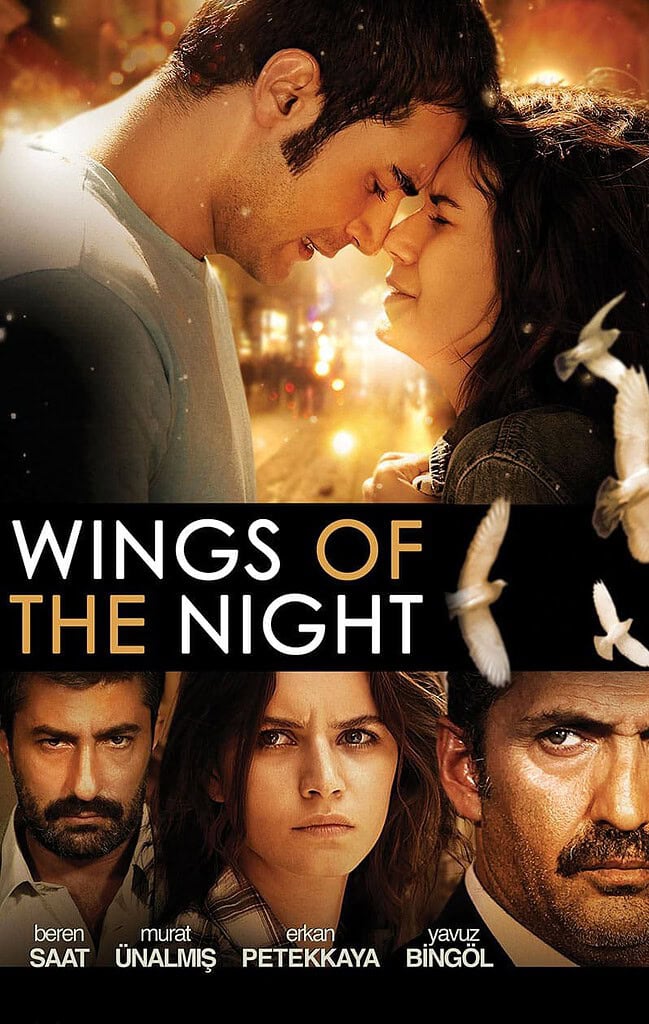 Wings of The Night